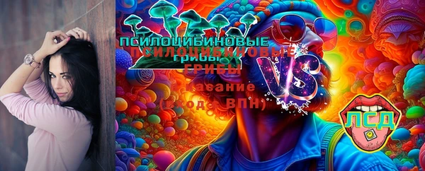 МДПВ Иннополис